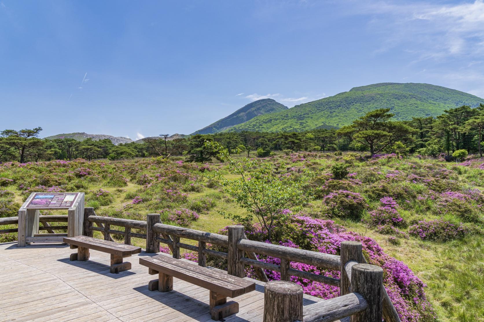 えびの高原-4