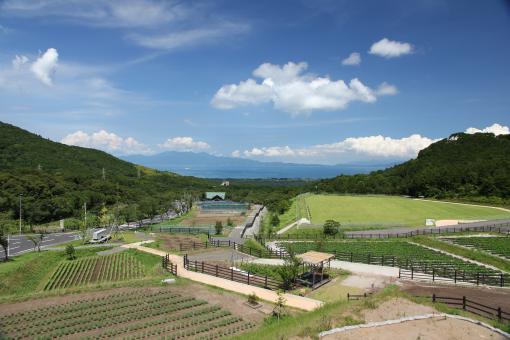 鹿兒島市綠色農場-0