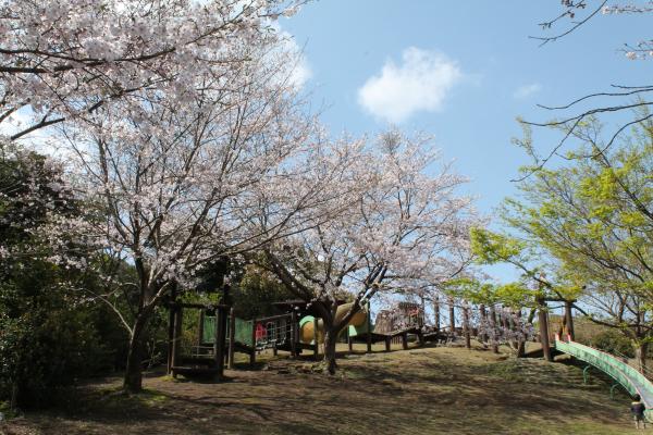 鹿兒島市綠色農場-2