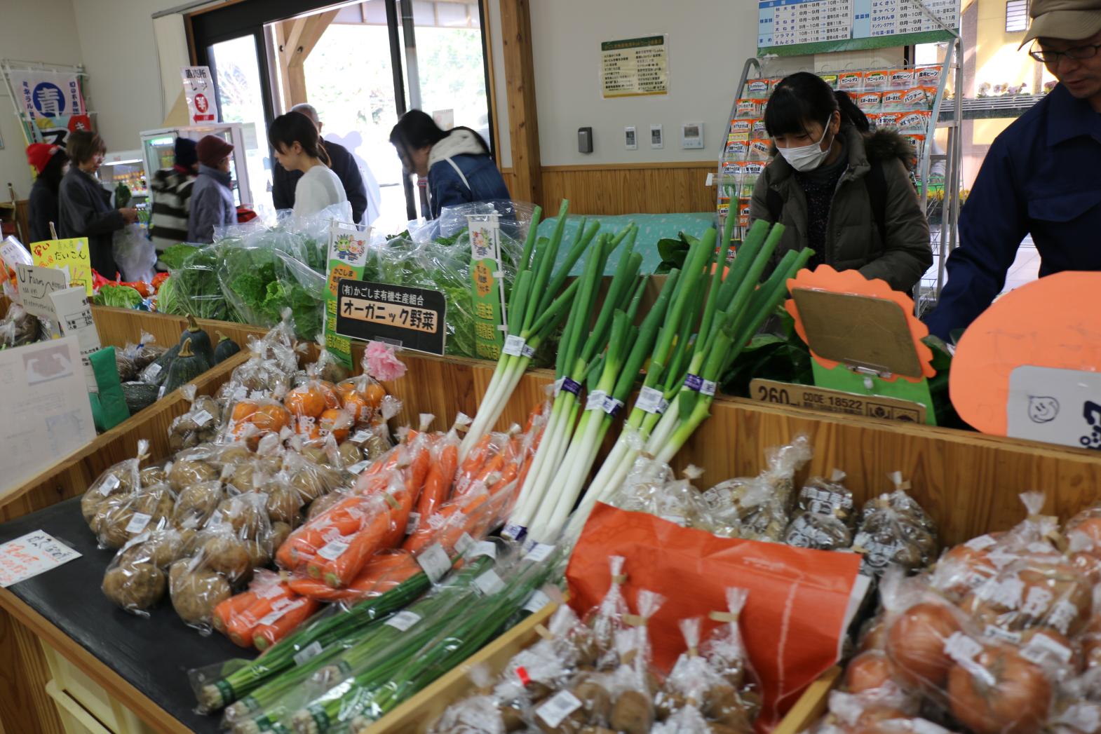 グリーンファーム喜入（鹿児島市観光農業公園）-5