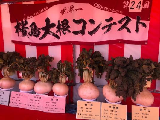 【2025】第25回 世界一桜島大根コンテスト-1