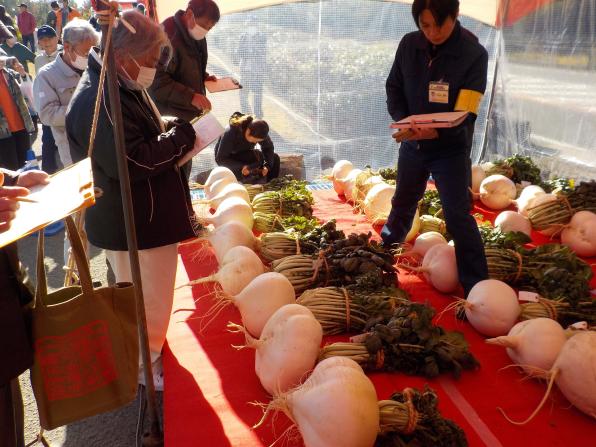 【2025】第25回 世界一桜島大根コンテスト-2