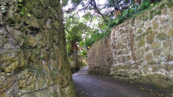 Agon 300-Year-Old Banyan Tree and Bungalow Stone Fences-1