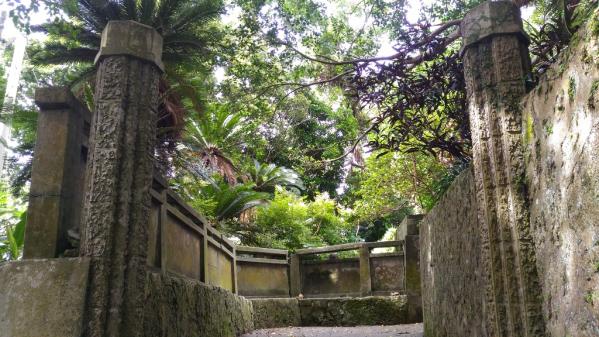 Agon 300-Year-Old Banyan Tree and Bungalow Stone Fences-3