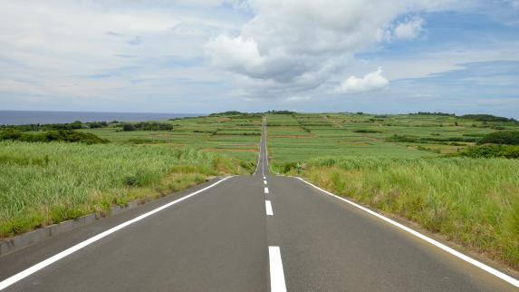 サトウキビ畑の一本道-2