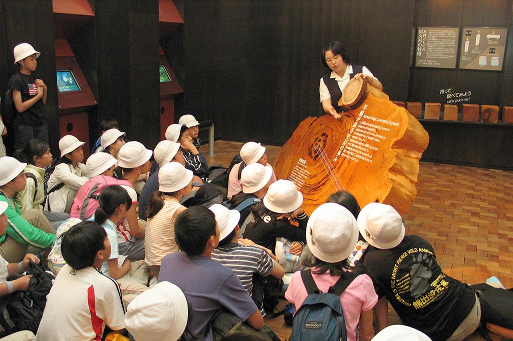 屋久杉自然館-1