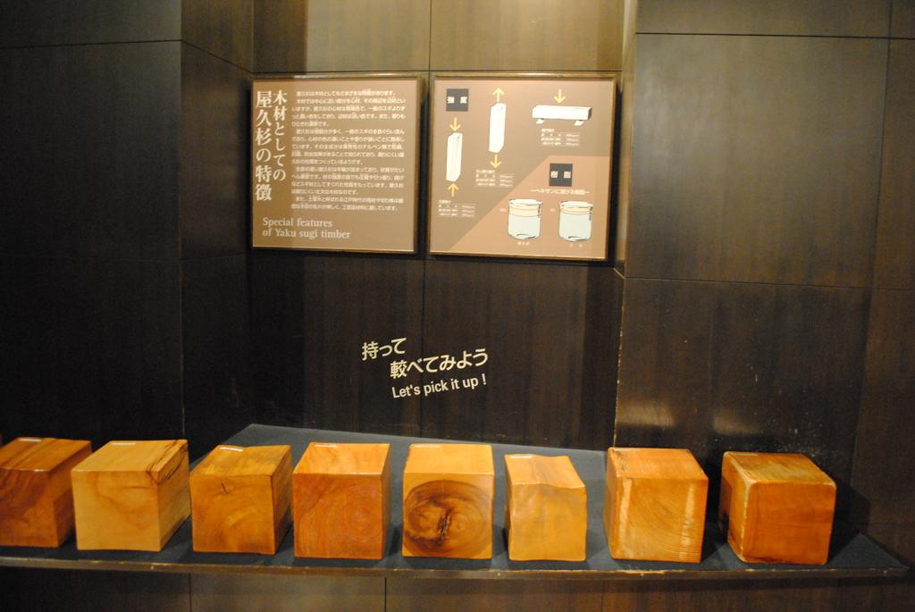 屋久杉自然館-8