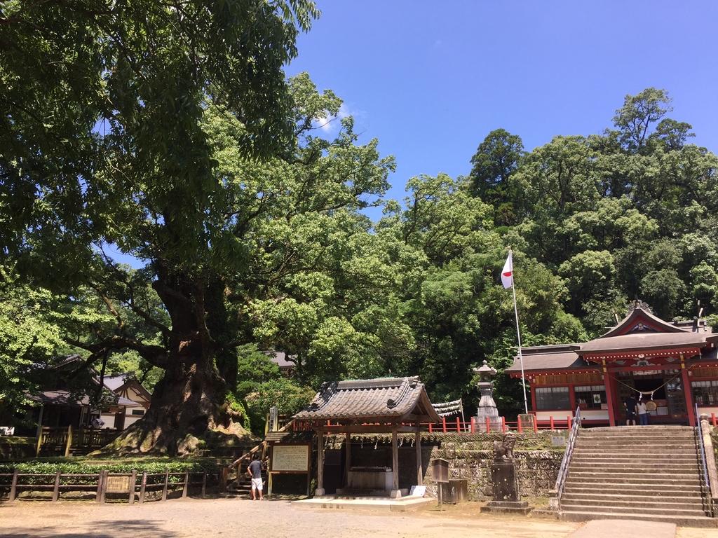 蒲生八幡神社六月灯-4