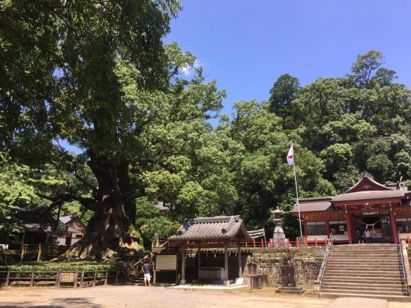 蒲生八幡神社六月灯-4