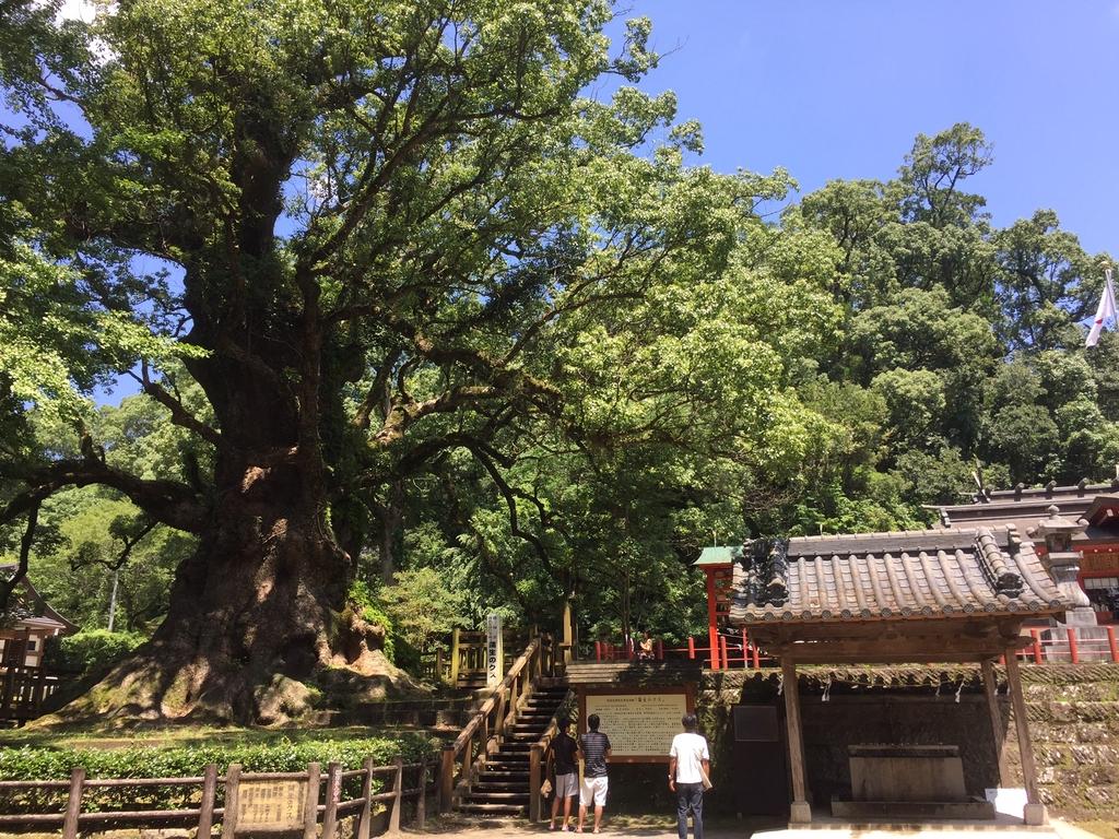 蒲生八幡神社六月灯-1