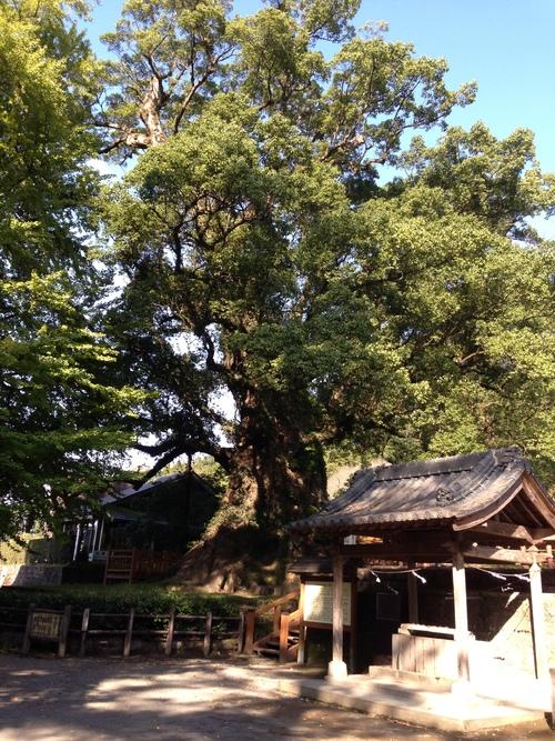 蒲生八幡神社六月灯-1