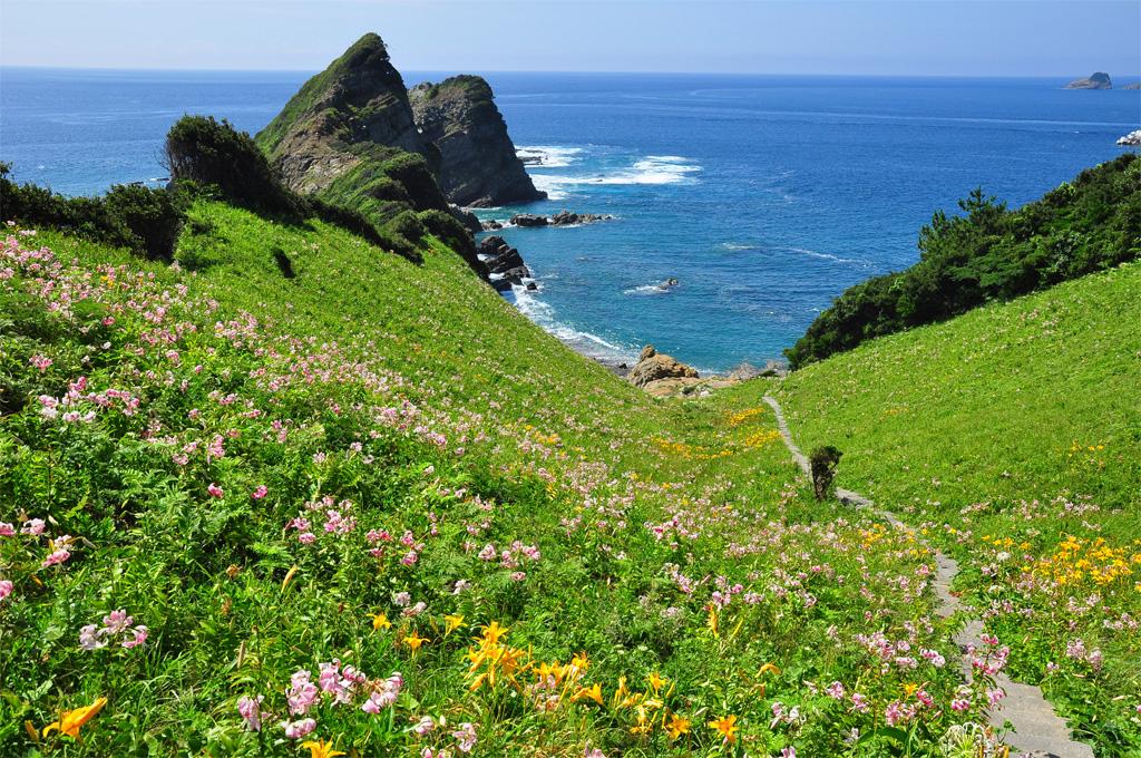  鳥ノ巣山展望所 