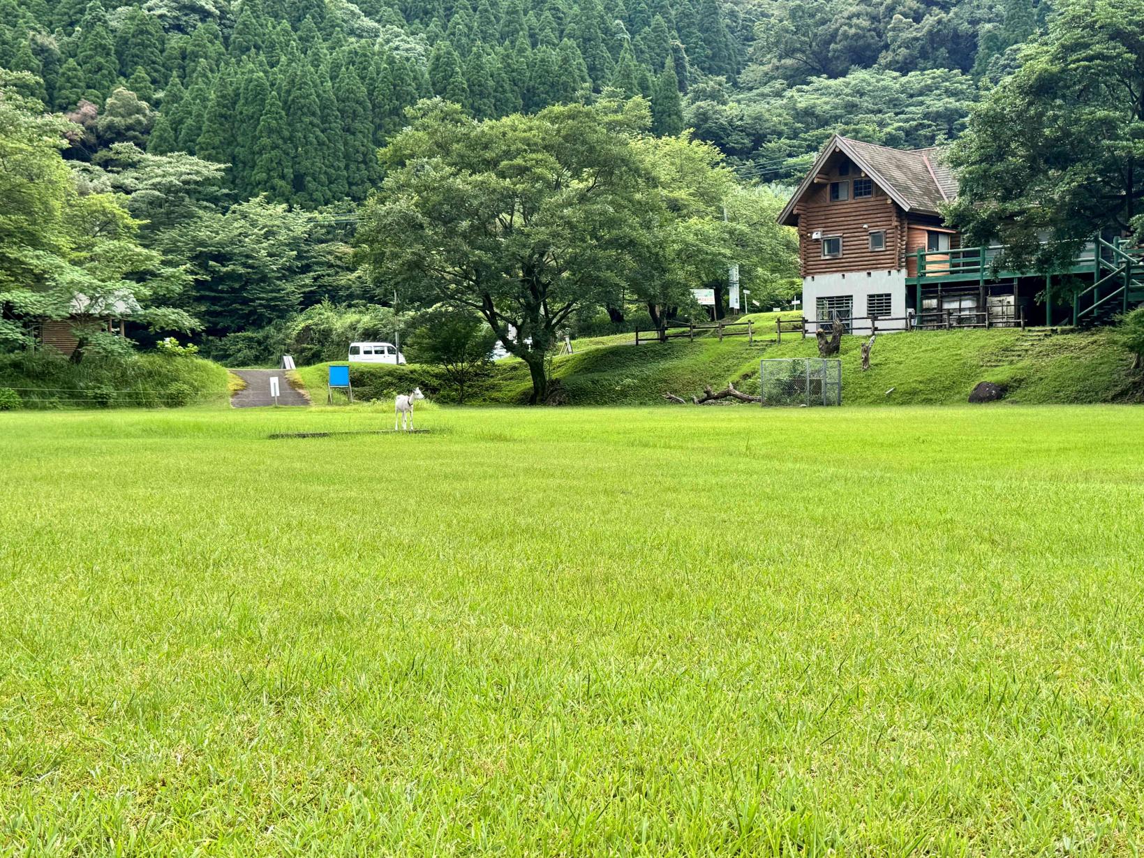 グリーンカントリー高隈-1