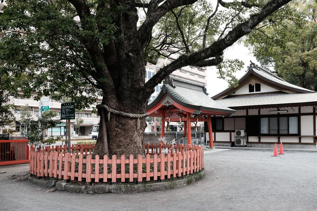 荒田八幡宮-4