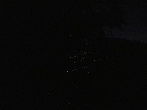 霧島ほたるの散歩道-1