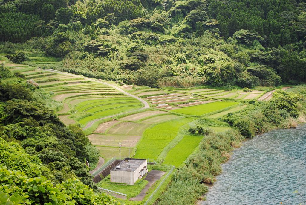 新永吉の棚田-1