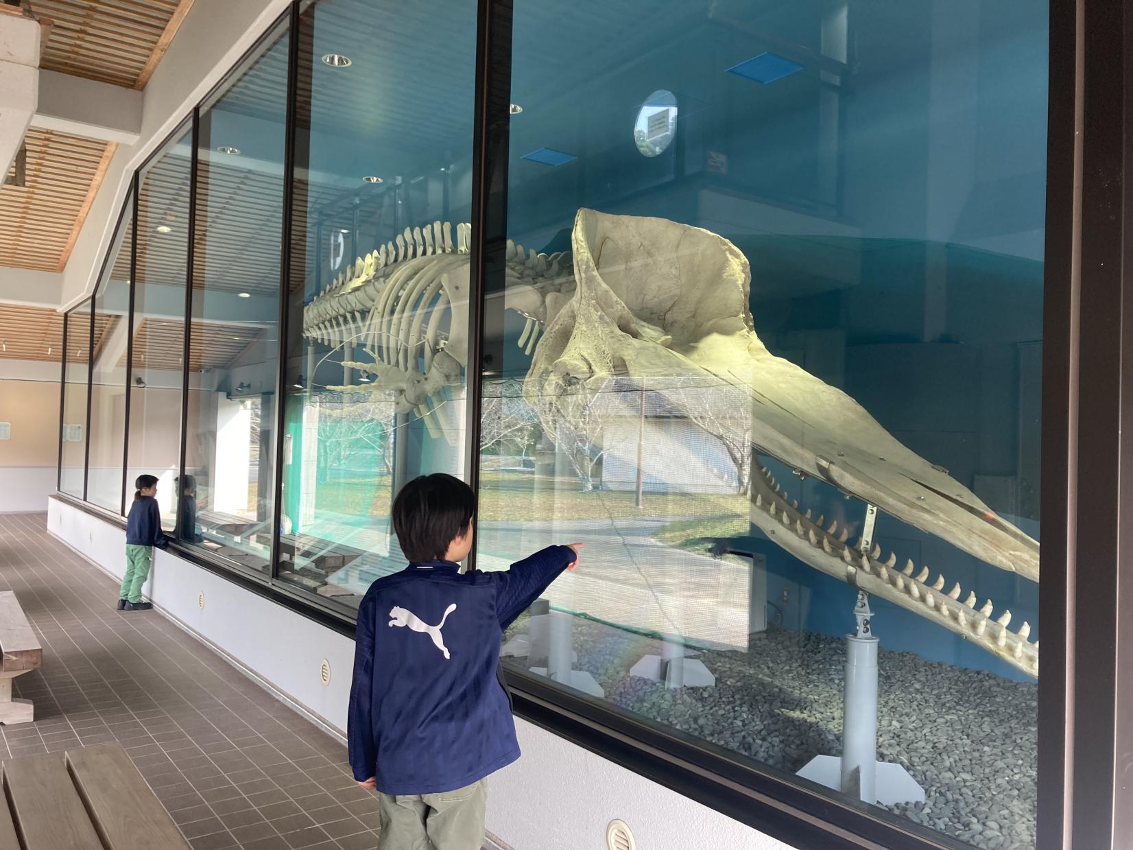 くじらの眠る丘・座礁くじら記念碑-6