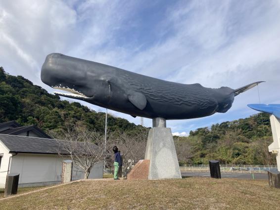 くじらの眠る丘・座礁くじら記念碑-4