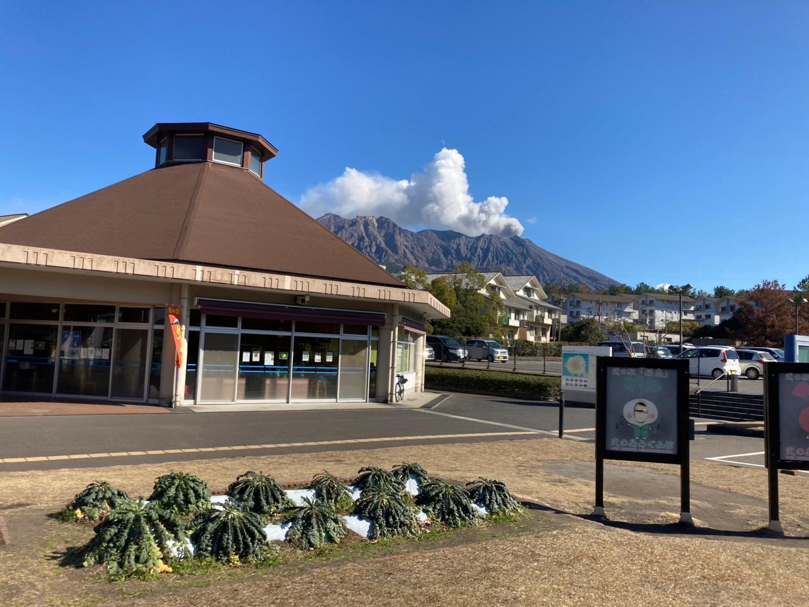 Sakurajima Island View Bus-4