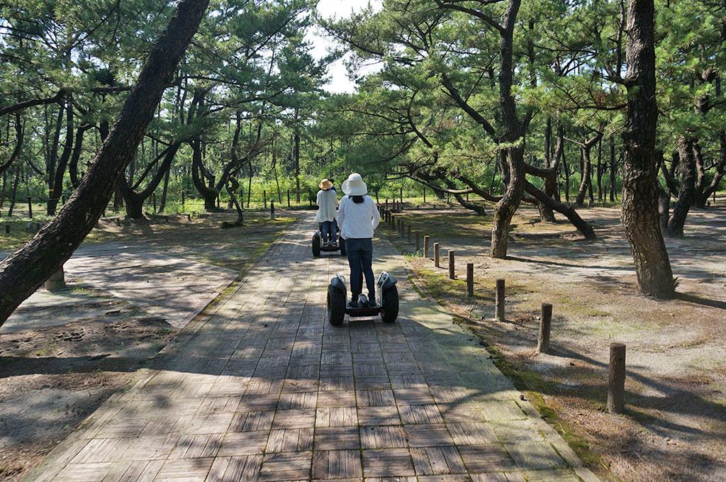 Experience the healing power of pine forests on a guided Segway tour!-4