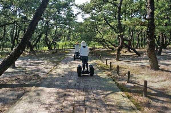 日南海岸国定公園くにの松原　セグウェイガイドツアー-4