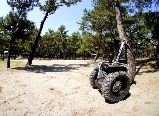 Experience the healing power of pine forests on a guided Segway tour!-0