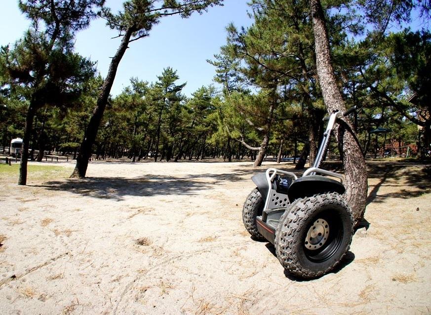 Experience the healing power of pine forests on a guided Segway tour!-1