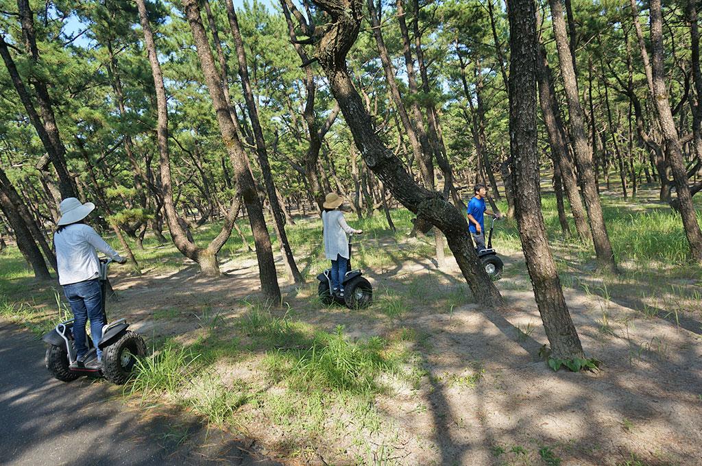 Experience the healing power of pine forests on a guided Segway tour!-1