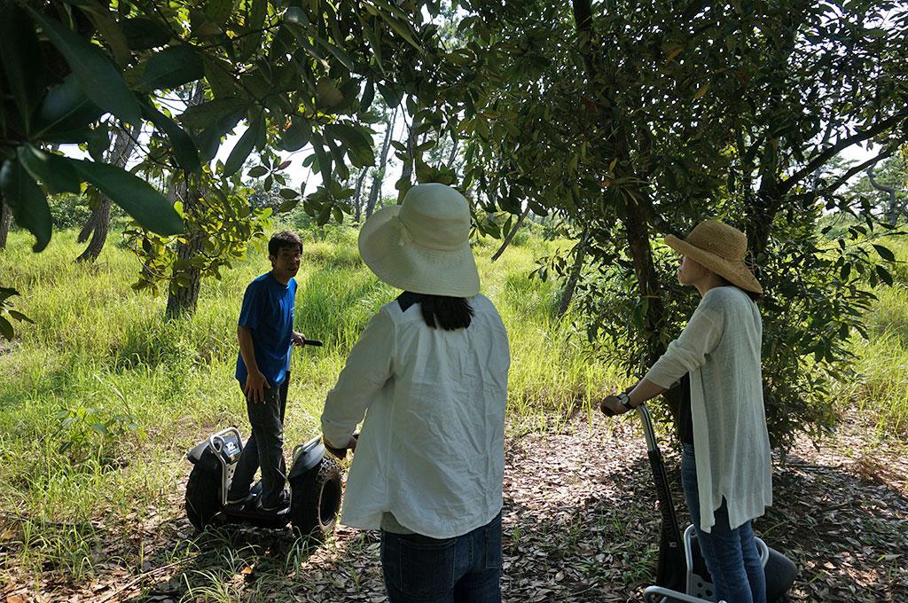 Experience the healing power of pine forests on a guided Segway tour!-5