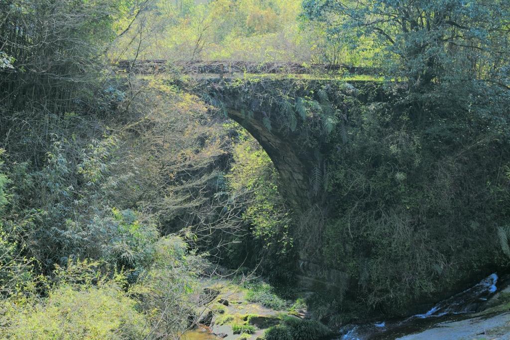 瀬戸間伏橋（せとまぶし）-1