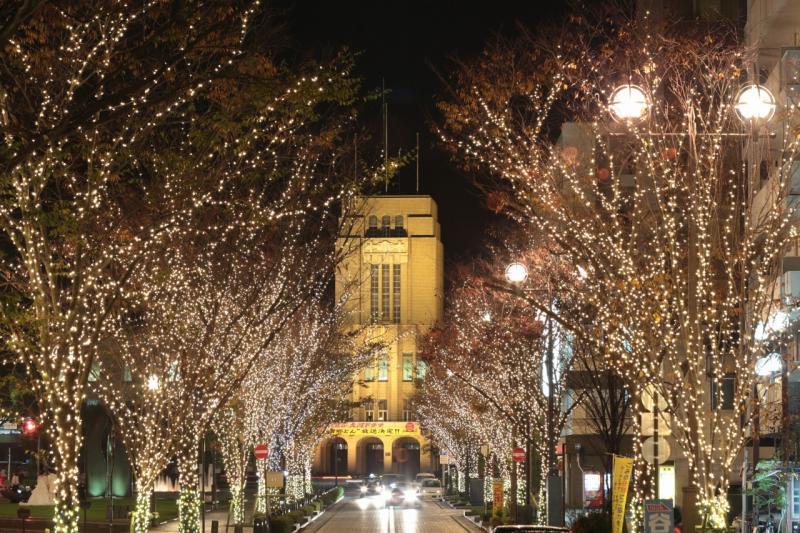 Minato Odori Park Illumination-5