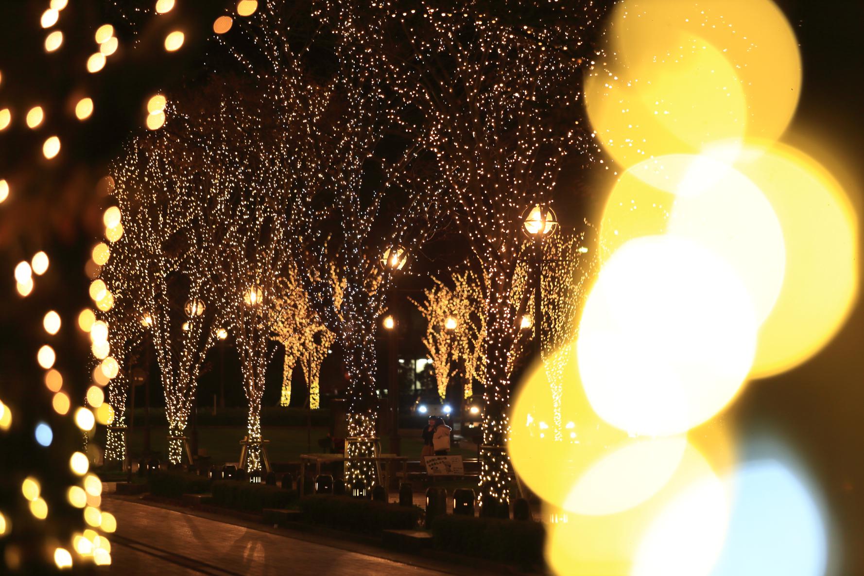 Minato Odori Park Illumination-8