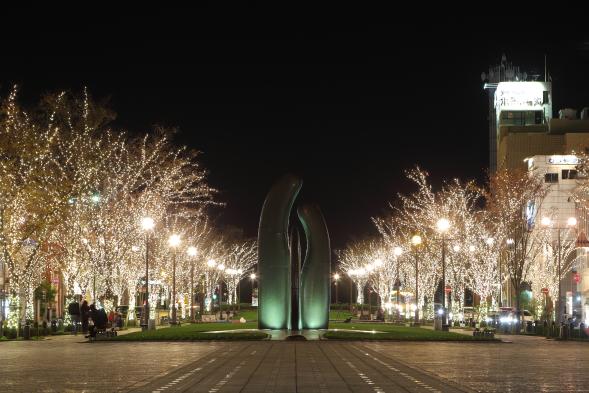 Minato Odori Park Illumination-0