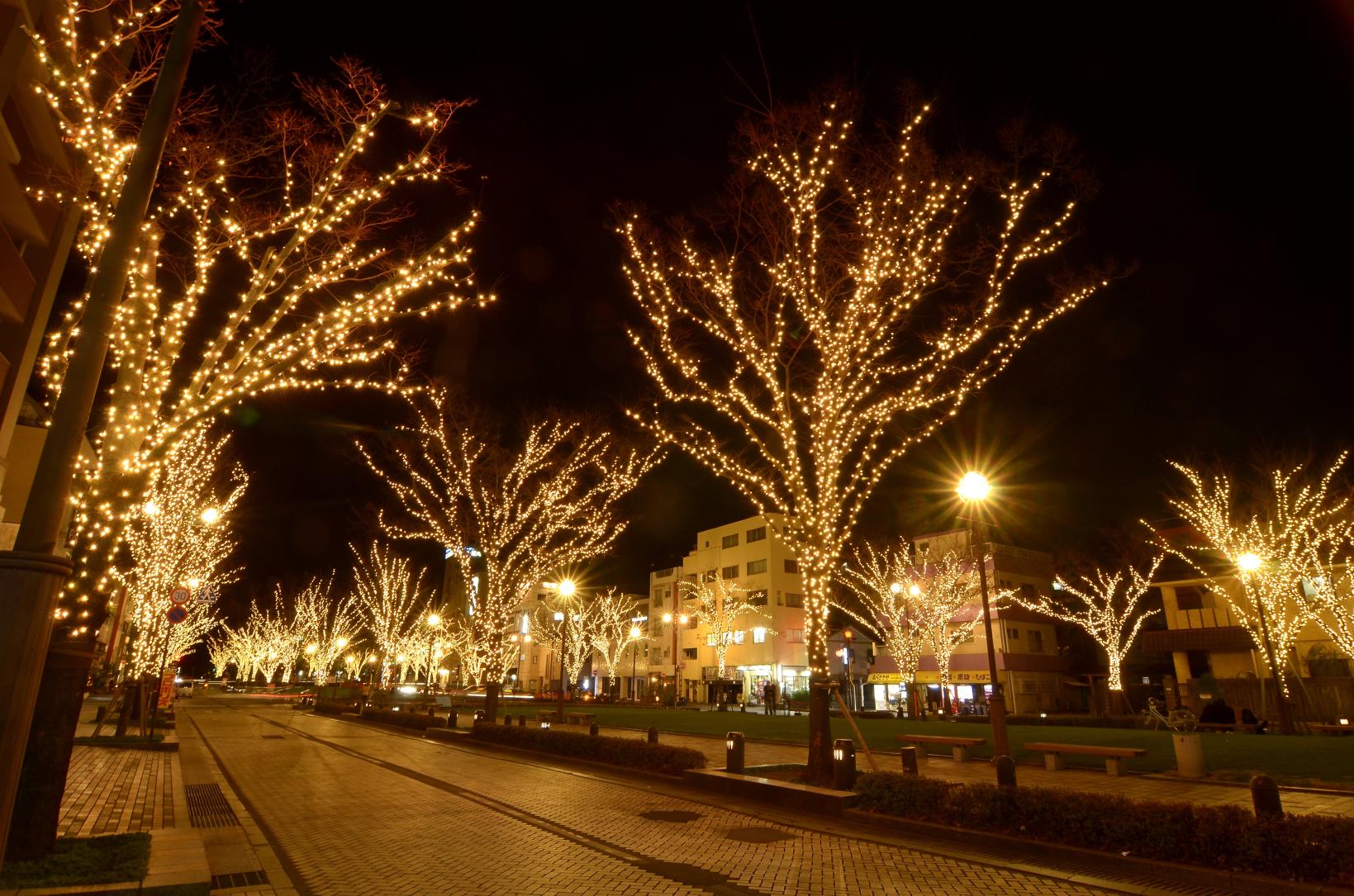 Minato Odori Park Illumination-2