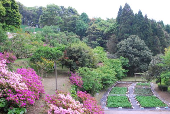 南風農菓舎・デザートハウス-5