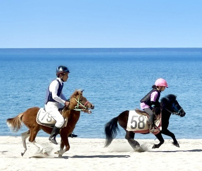 【2025】【いちき串木野市制施行20周年記念】第65回串木野浜競馬大会-2