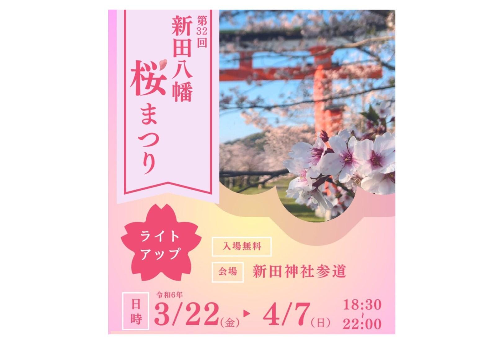 【2024】第32回 新田八幡桜まつり-0