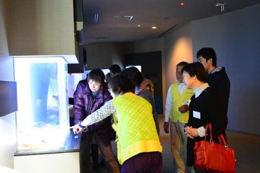 かごしま水族館ボランティア / 鹿児島市-0