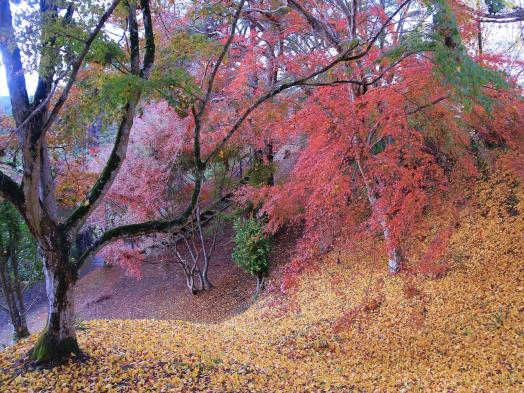 伊佐市観光ガイド「 伊佐の風」 / 伊佐市-6