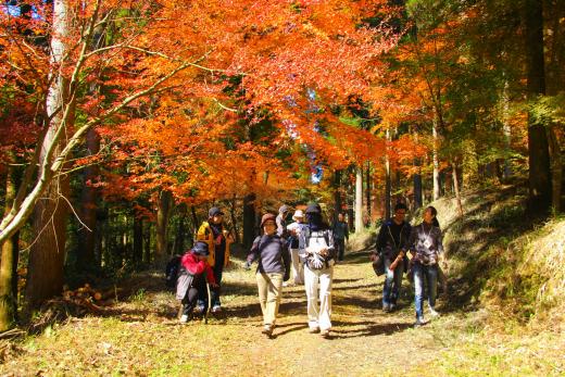 曽於市観光ガイド・ボランティアの会 / 曽於市-0