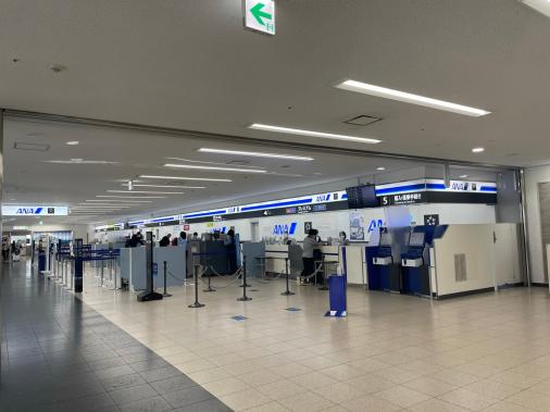 Kagoshima Airport-3