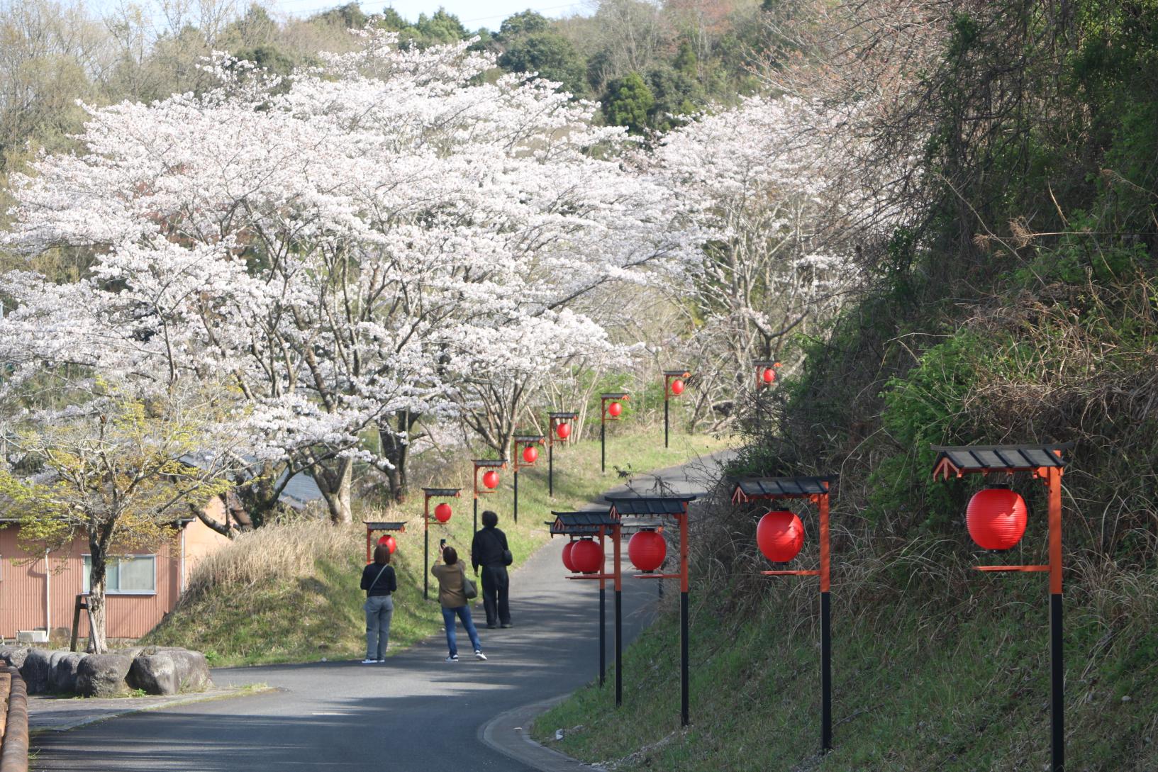 雾岛神宫车站-7