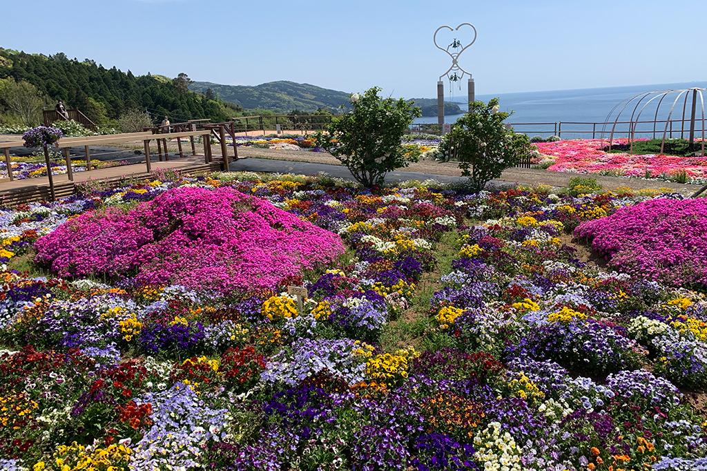 夢追い長島花フェスタ（長島町）-1