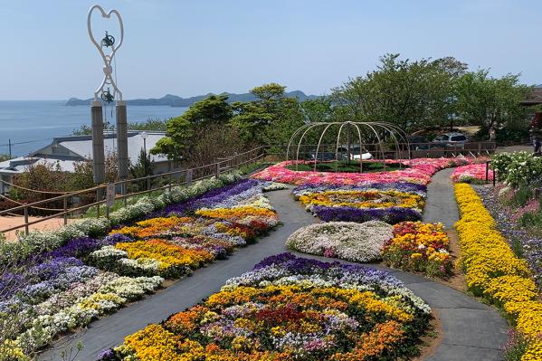 【2025】夢追い長島花フェスタ-4