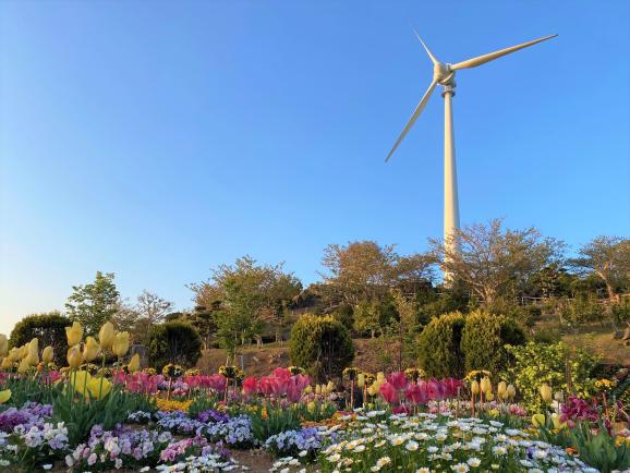 【2025】夢追い長島花フェスタ-3