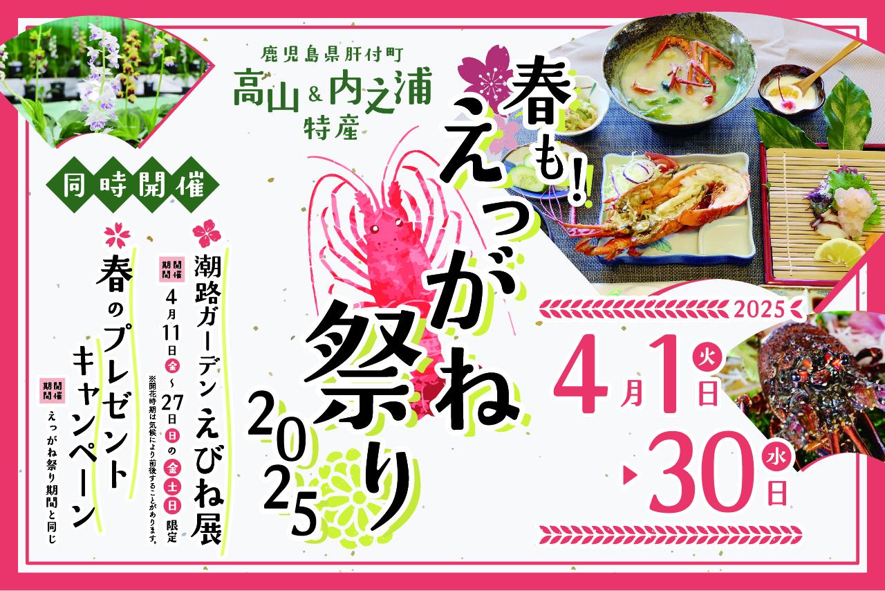 春も！えっがね祭り＆えびね展２０２５-1