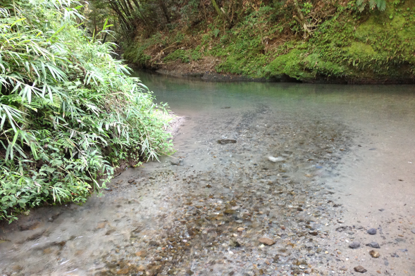 大出水の湧水-6