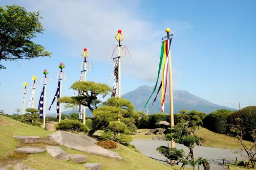 仙岩园菊花节-9