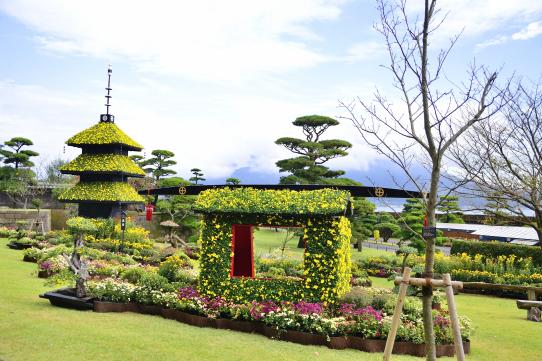 仙巖園菊花祭-1