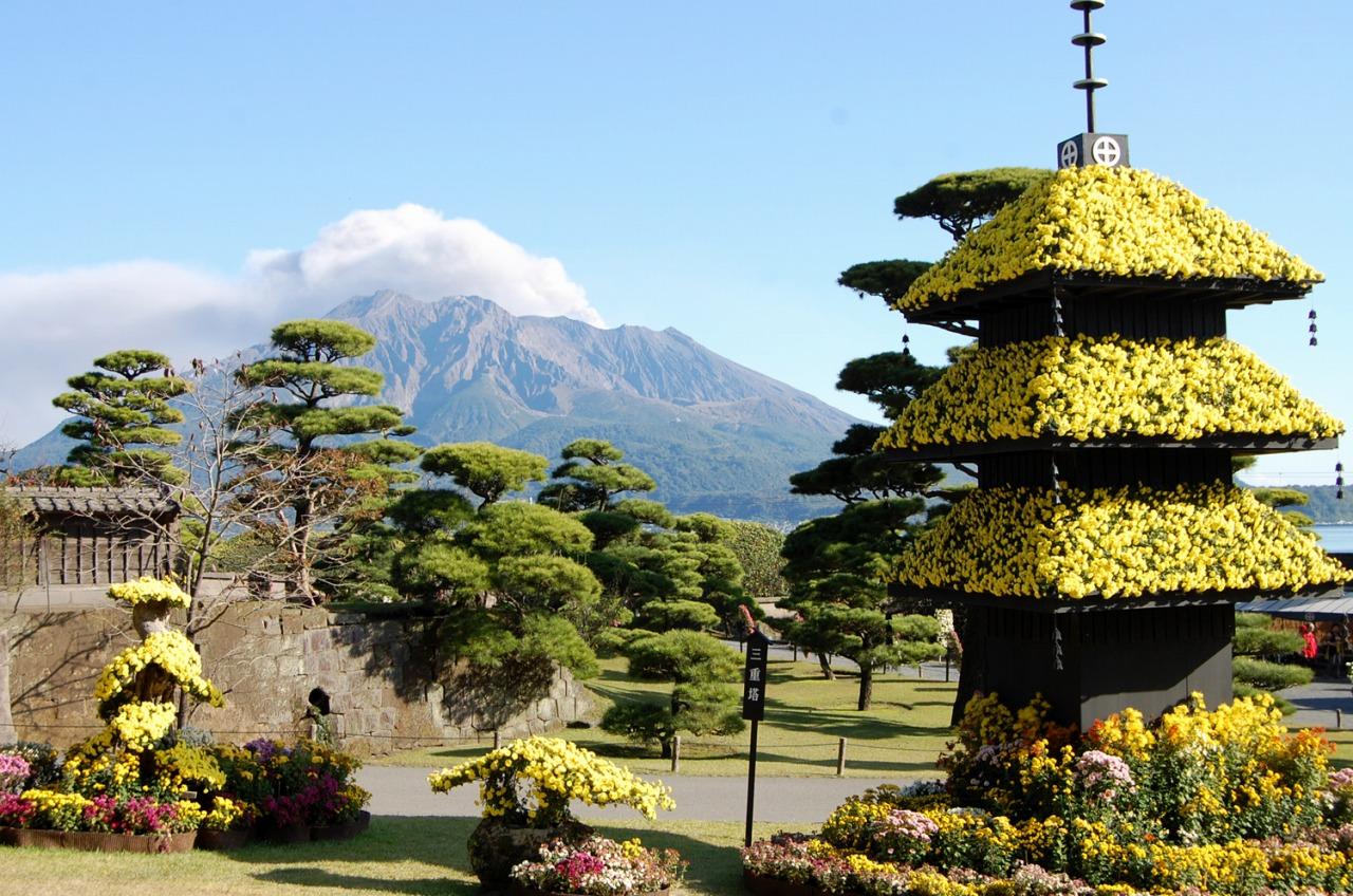 仙巖園菊花祭-1